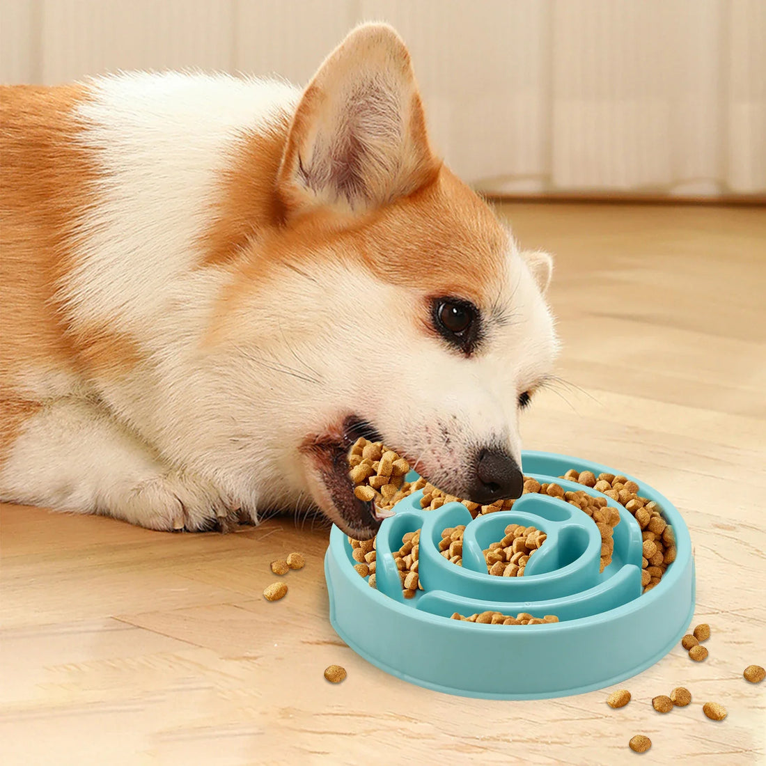 Dog Bowl Feeders