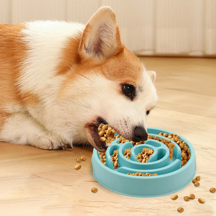 Dog Bowl Feeders