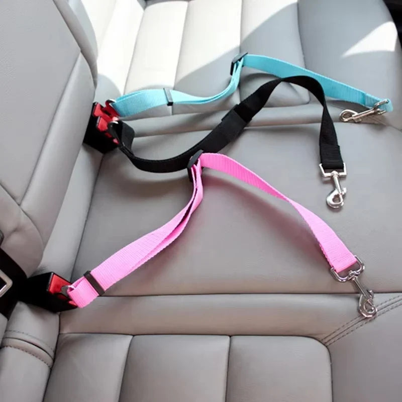Pet Car Seat Belts