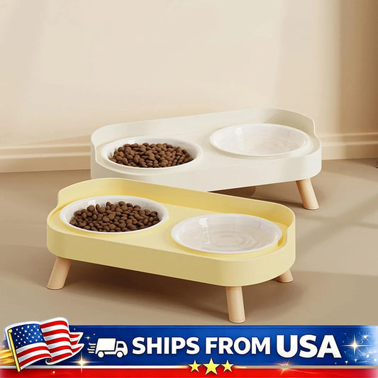 Raised Double Pet Bowl Set With Elevated Feeding Stand