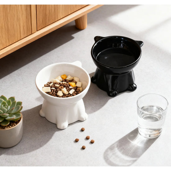 Elevated Cat and Dog Bowl Set With Antivomiting Design