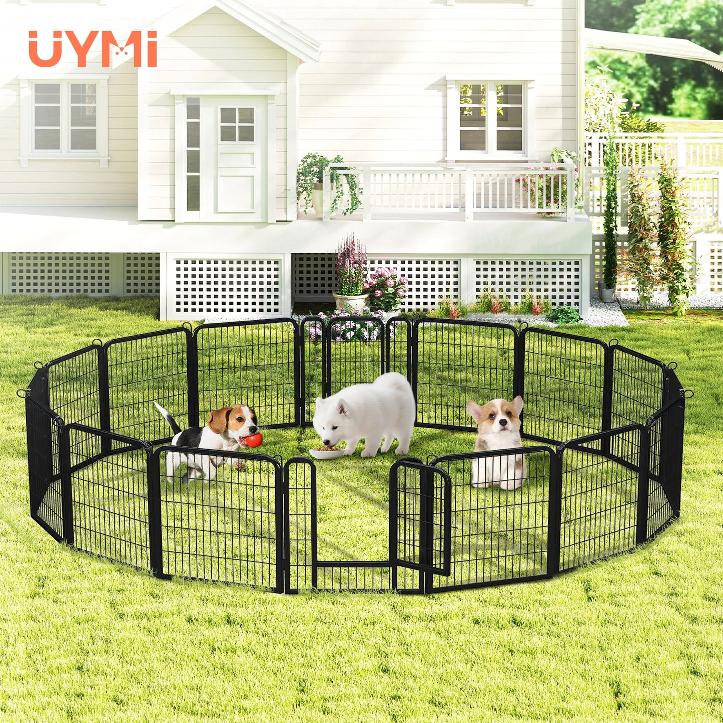 PEQULTI Heavy Duty Metal Puppy Playpen Panels Indoor Outdoor