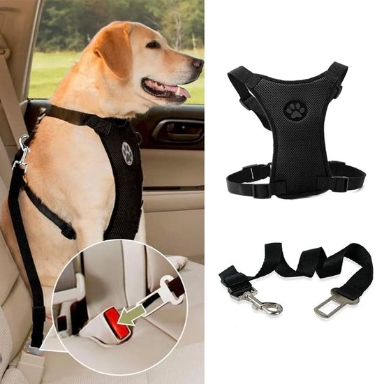 Breathable Mesh Dog Harness With Adjustable Straps And Leash