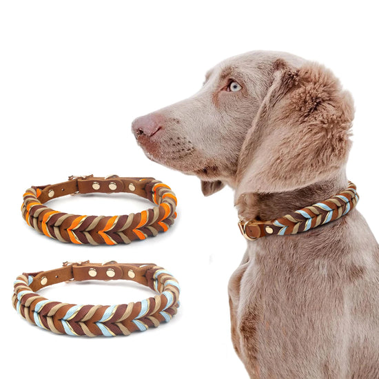 Real Leather Dog Collar Durable Pet Neck Ring For Dogs