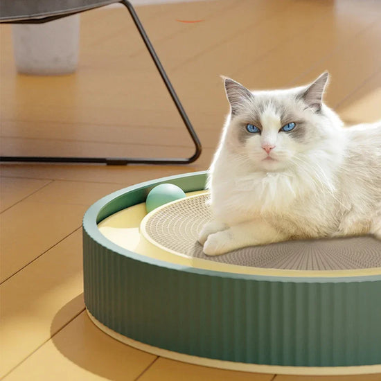 YBPetra Interactive Round Cat Scratcher Board With Ball Toy