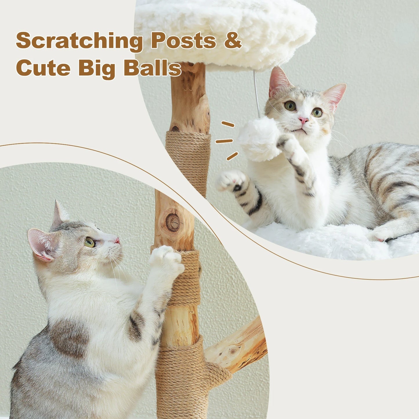 PAWZ Road Flower Cat Tree Perches Indoor Cats Modern Tower