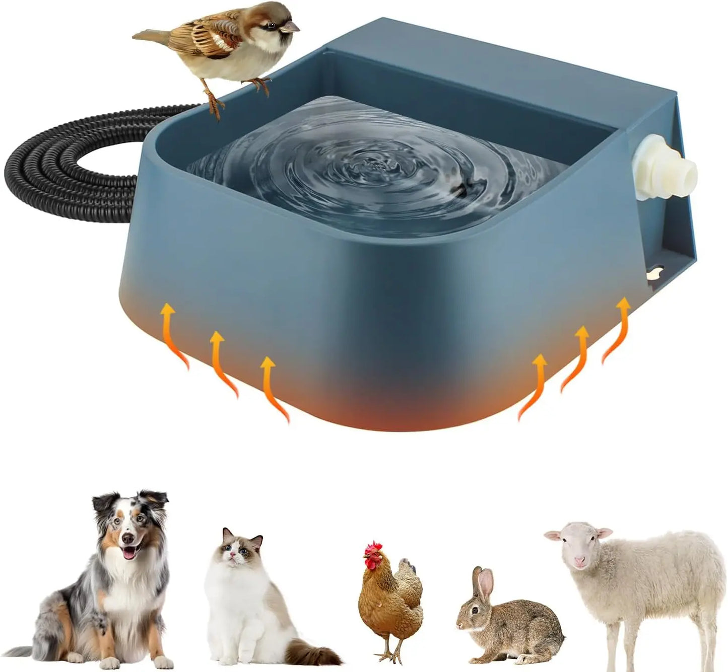 Automatic Heated Pet Water Dispenser With Auto Fill