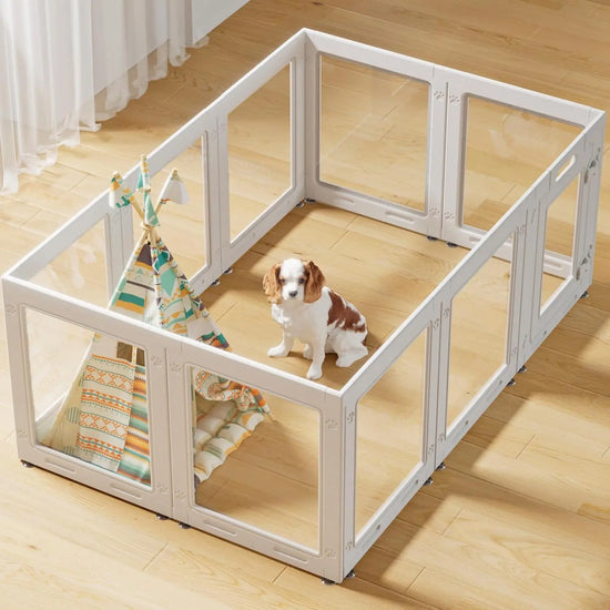 Clear Acrylic Pet Playpen With Door For Puppies And Dogs