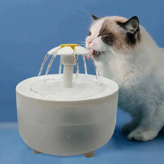 Cat Water Fountain Auto Filter USB Electric Quiet Drinker 1200mL