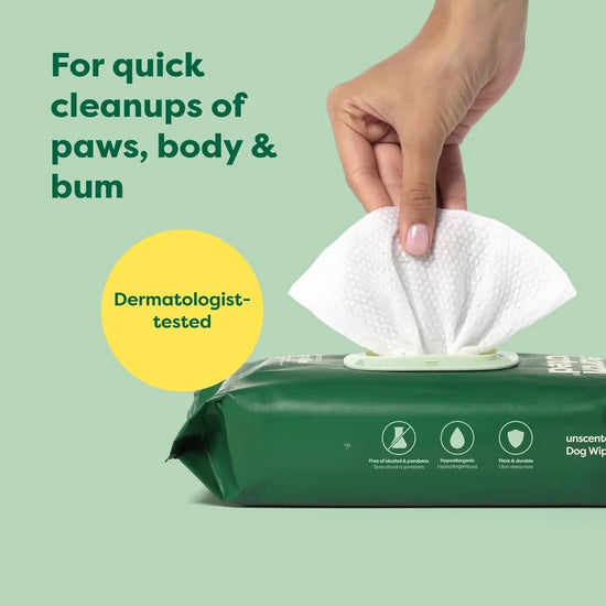 Pet Wipes For Dogs And Cats Hypoallergenic Fragrance Free