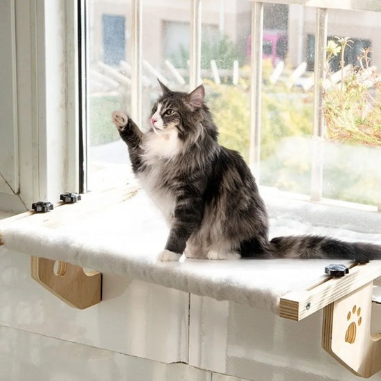 Wooden Frame Cat Window Hammock Paw Print Design Durable Bed