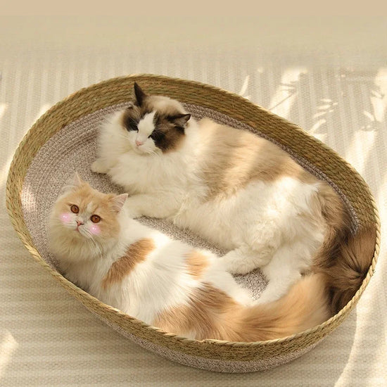 Rattan Weaving Cat Bed Donut Style Pet Bed For Cats