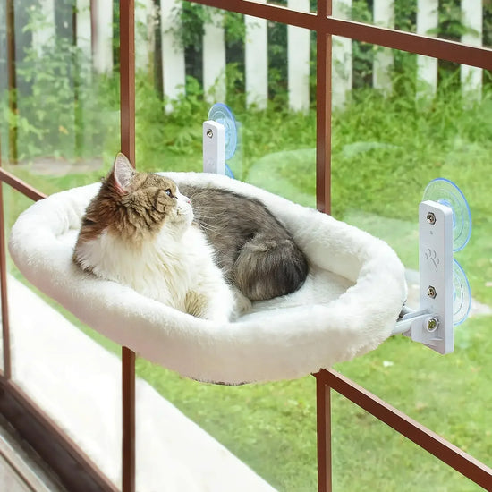Cat Window Hammock Habitat Bed With Suction Cup Mount