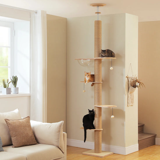 PAWZ Road Floor to Ceiling Cat Tree Adjustable Height Tower