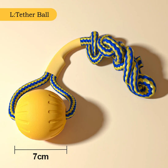 Durable EVA Dog Toy Set Includes Flying Disc Ball Rope