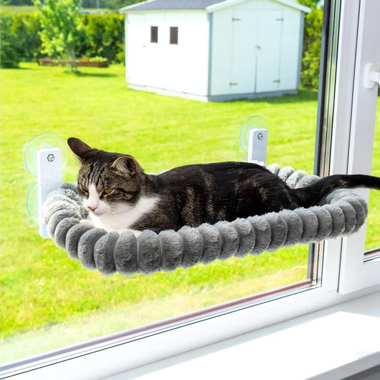 Cat Window Hammock Bed Suction Cups Foldable Pet Nest