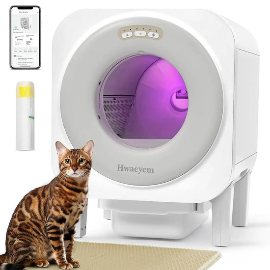 Smart Self Cleaning Automatic Litter Box for Multiple Cats