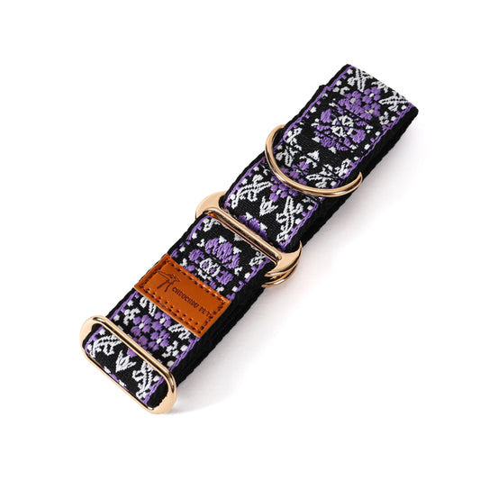 Martingale Dog Collar For Greyhounds Lurchers Whippets Iggy Galgo