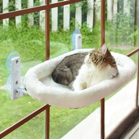 Cat Window Hammock With Suction Cups Sunbathing Bed Foldable Nest