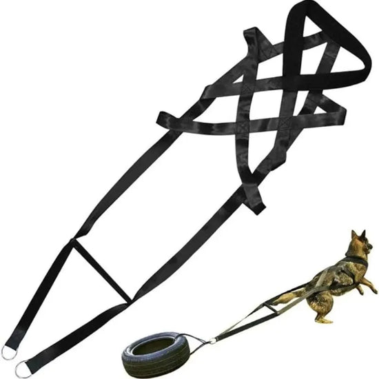 Durable Training Leash For Large Working Dogs Sled Safety Belt