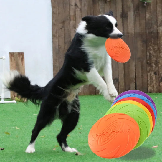 Silicone Flying Disc Dog Toy Interactive Chew Resistant Training Aid