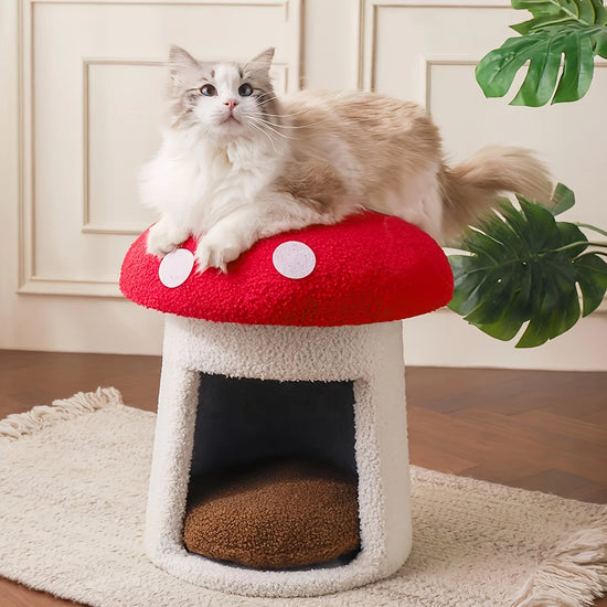 Mushroom Cat Bed With Removable Cushion For Indoor Cats