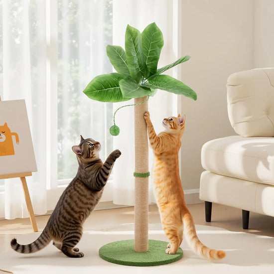 JHK Palm Tree Cat Scratching Post With Dangling Ball