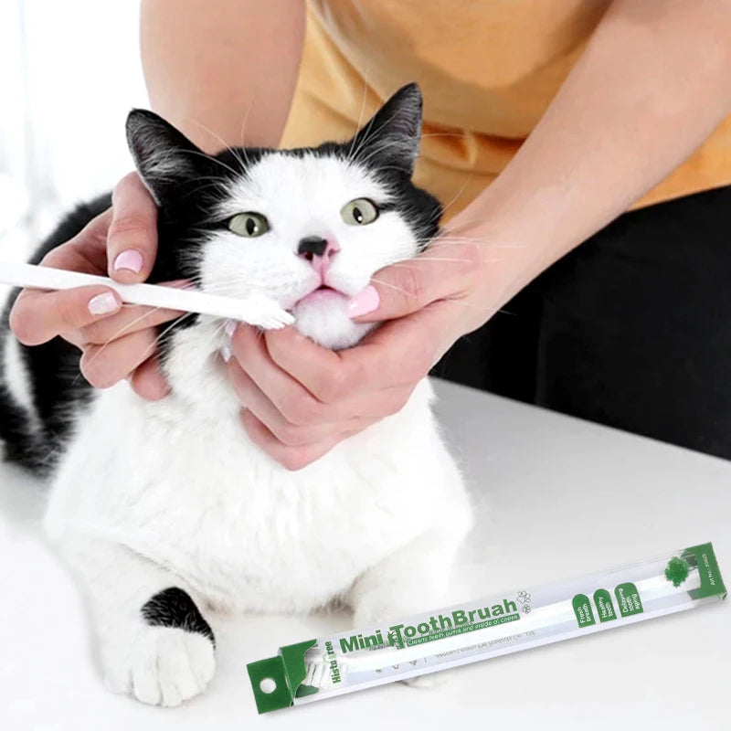 Vet Recommended Micro Head Dog Toothbrush For Small Mouth Pets