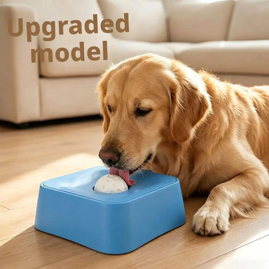 Slow Feeder Dog Bowl With Rolling Ball Anti Slip Interactive Lick Toy