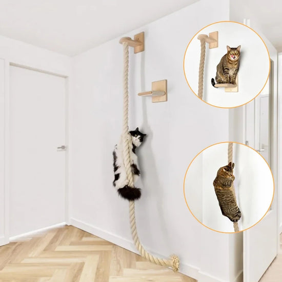 PETRAVELCN Cat Climbing Shelf Rope Tree Wall Mounted Scratching Post