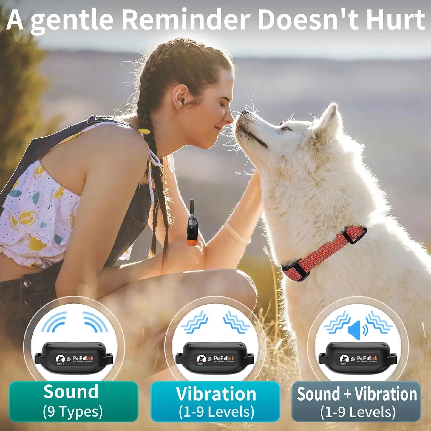 No Shock Dog Training Collar With Remote And Beeps Waterproof