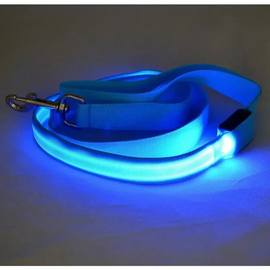Glowing LED Dog Leash With Flashing Light Durable Nylon Night Walk Safety For Night Time Visibility