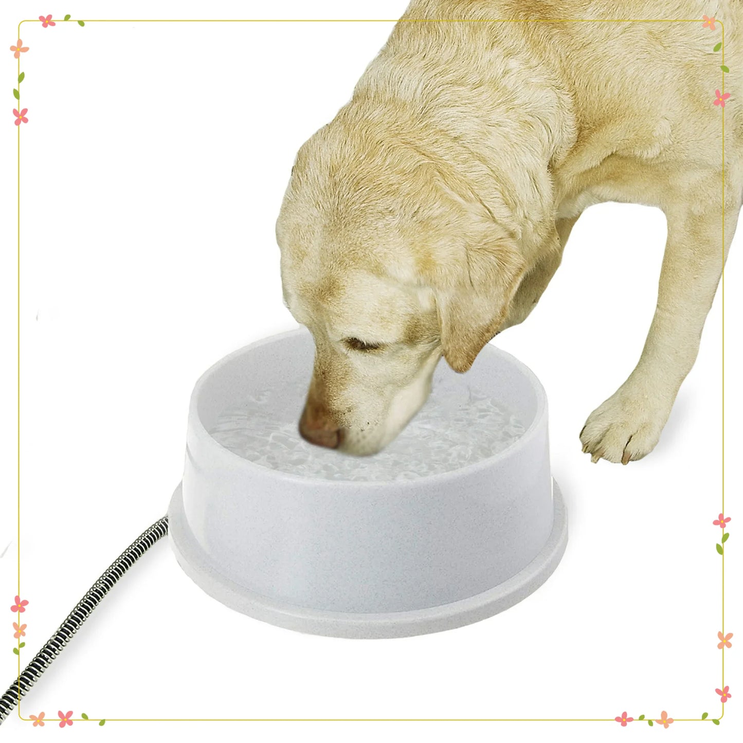 Outdoor Heated Cat And Dog Water Bowl With Thermostatic Control