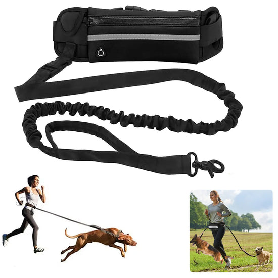 Hands Free Reflective Dog Leash With Waist Bag Retractable Belt