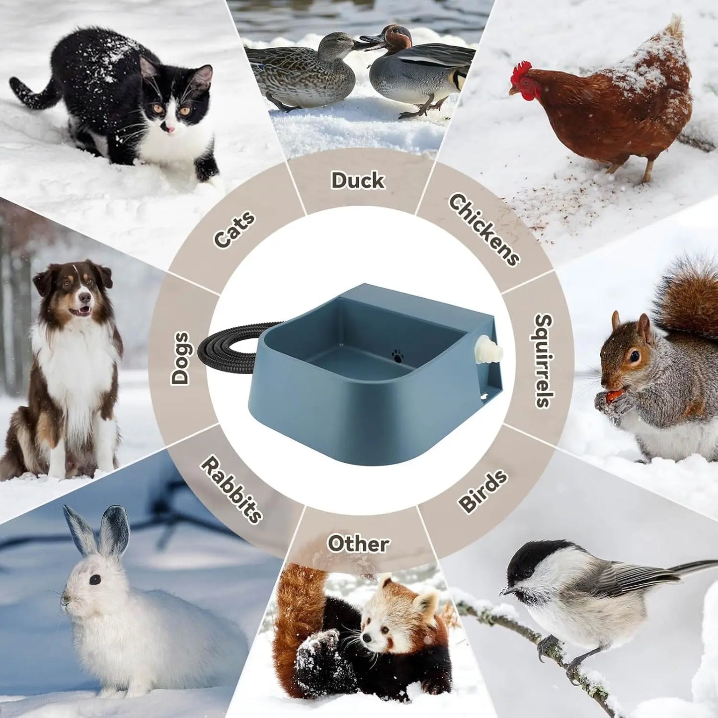 Automatic Heated Pet Water Dispenser With Auto Fill