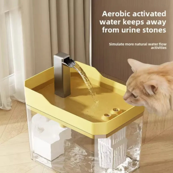 Cat Water Fountain Automatic Pet Dispenser With Filters And Circulating Water