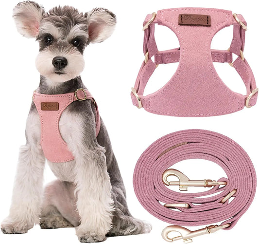 Adjustable No-Pull Dog Harness With Leash For Small Dogs