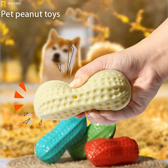 Pet Peanut Squeaking Chew Toy for Dogs and Cats Interactive