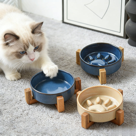 Japanese Kiln Anti Choking Slow Feeder Dog Bowl Non Slip Anti Spill