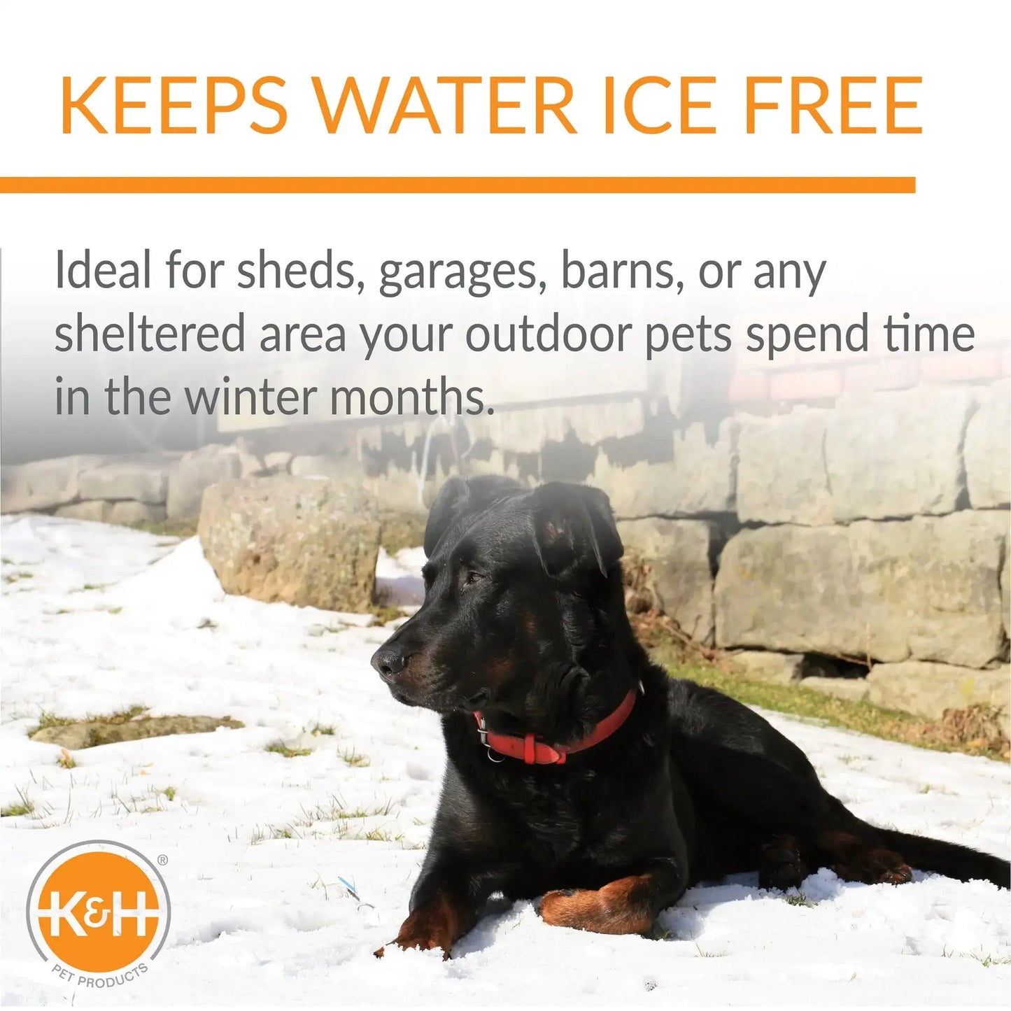 Outdoor Heated Cat And Dog Water Bowl With Thermostatic Control