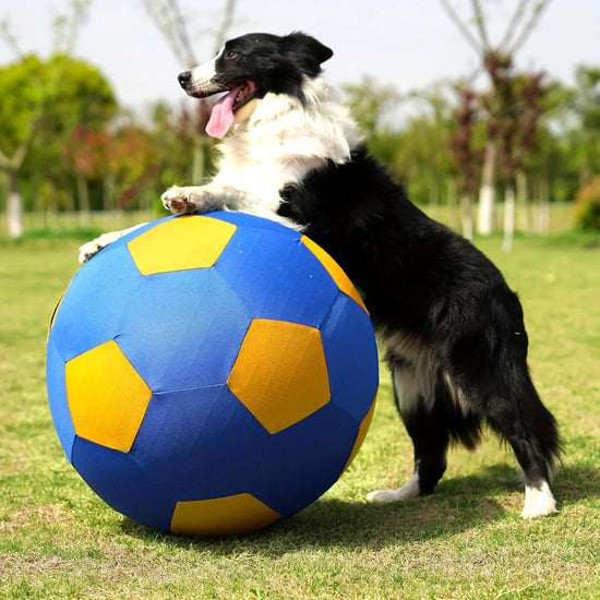 Explosion Proof Giant Herding Ball for Dogs and Horses