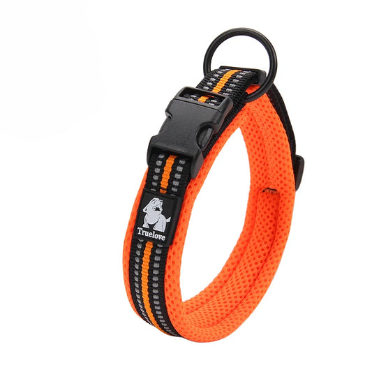 Winhyepet Padded Nylon Dog Walking Collar With Buckle Comfortable