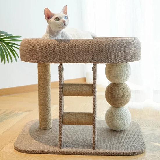 Cat Scratching Post and All in One Indoor Cat Tree