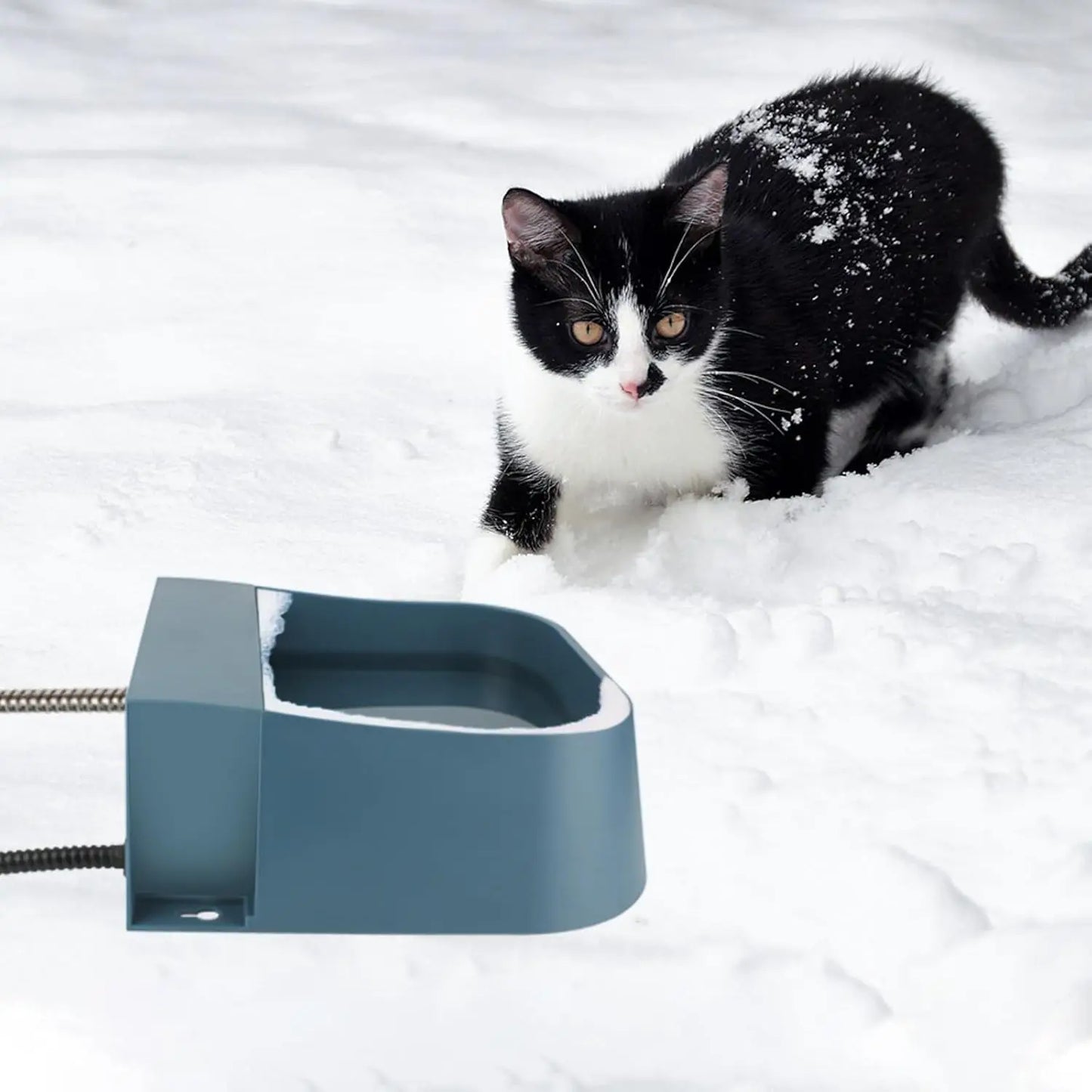Automatic Heated Pet Water Dispenser With Auto Fill