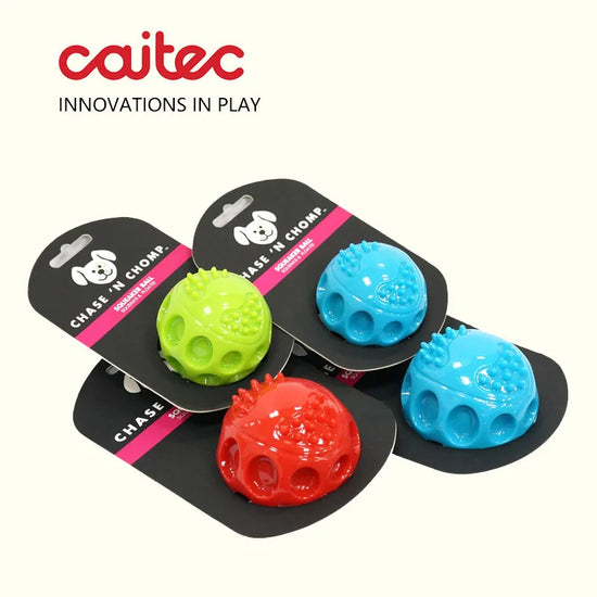 CAITEC Squeaking Bouncing Ball Dog Toy Durable Floatable