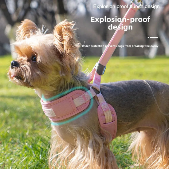 NONECN No Pull Reflective Dog Harness With Leash Breathable
