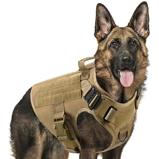 Dog Harness And Leash Set For German Shepherd Malinois Training