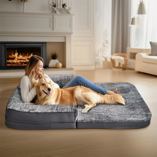 BINGOPAW Calming Foldable Dog Bed With Plush Removable Orthopedic Cover