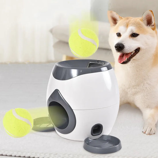 NOCCLILI 2 In 1 Dog Interactive Tennis Ball Launcher Toy