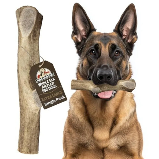 YAO HUI HUANG Heartland Elk Antlers Dental Chews For Dogs